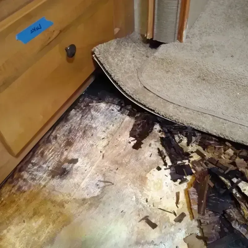 Best Wood Floor Water Damage Service in Boswell, PA